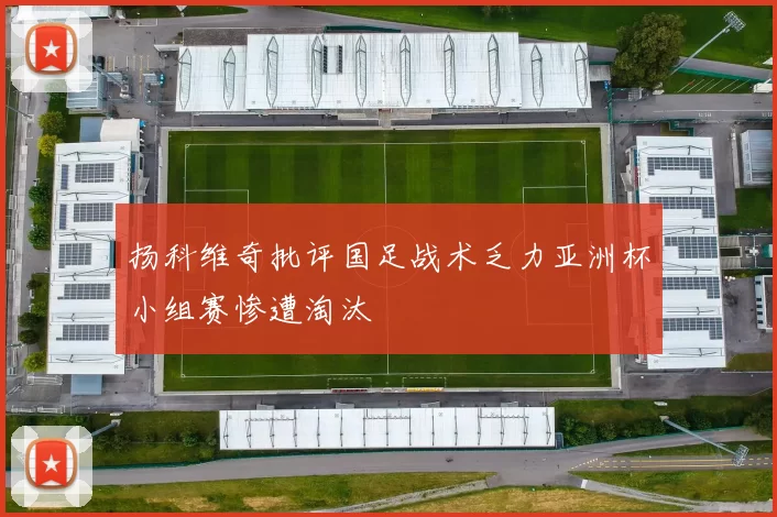 扬科维奇批评国足战术乏力亚洲杯小组赛惨遭淘汰